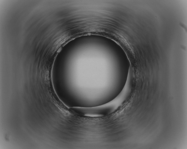 X0000091470881200708231336