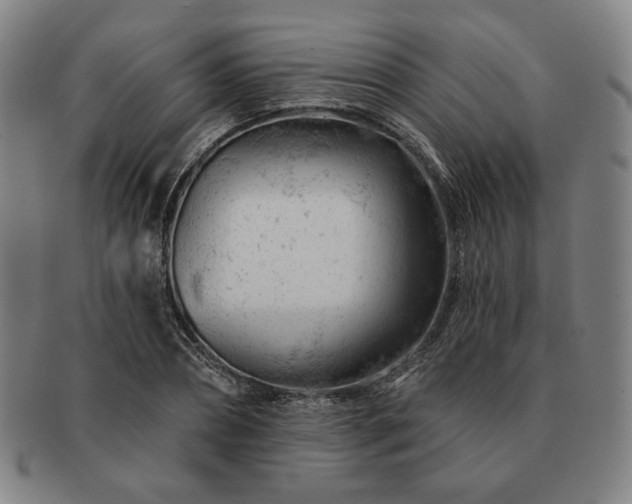 X0000091470882200708231336