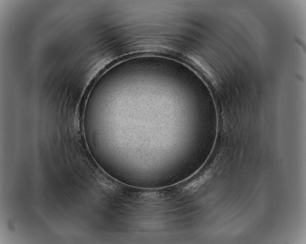 X0000091470883200708231336