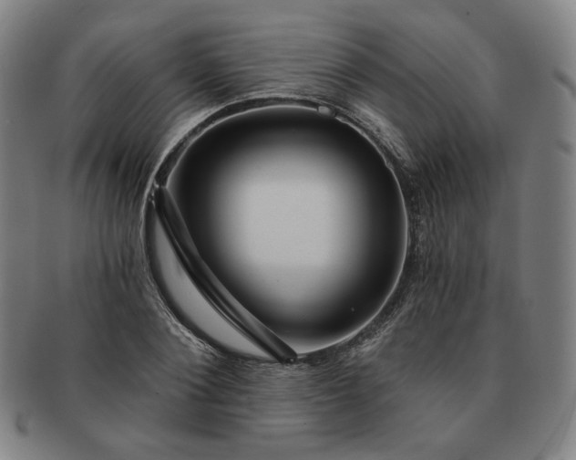 X0000091470884200708231336