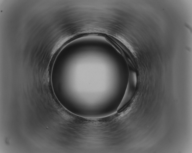 X0000091470885200708231336