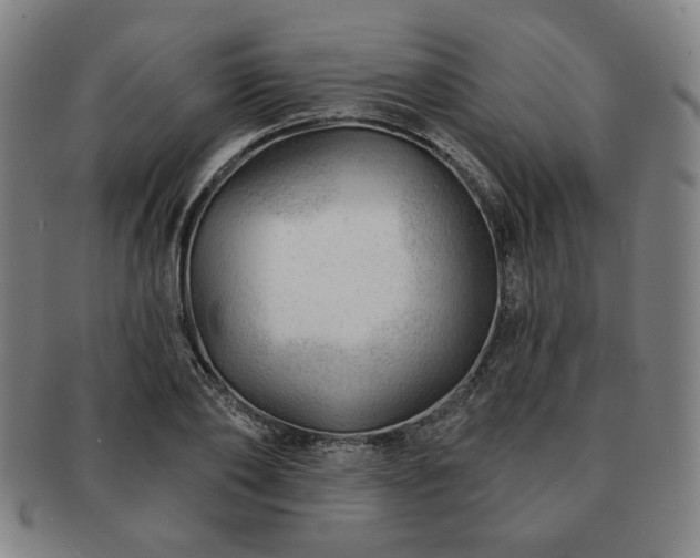 X0000091470886200708231336