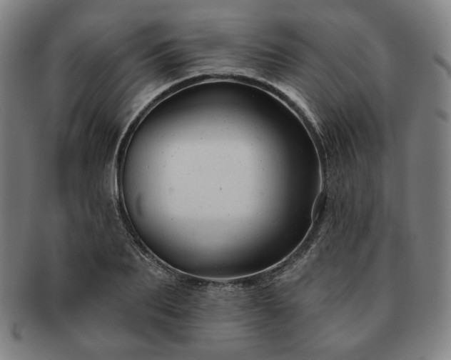 X0000091470887200708231336