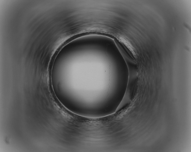 X0000091470888200708231336