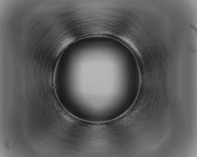 X0000091470889200708231336