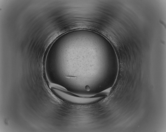 X0000091470890200708231336