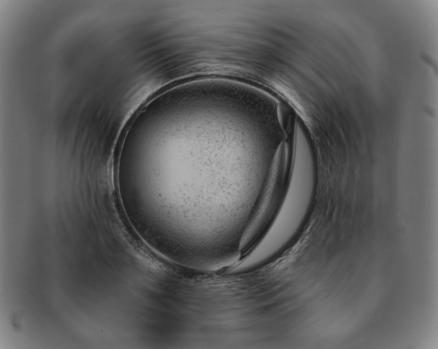 X0000091470891200708231336