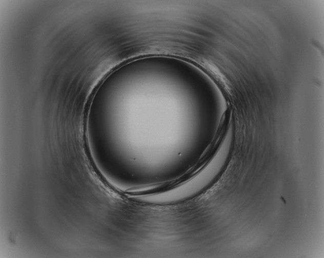 X0000091470896200708231335