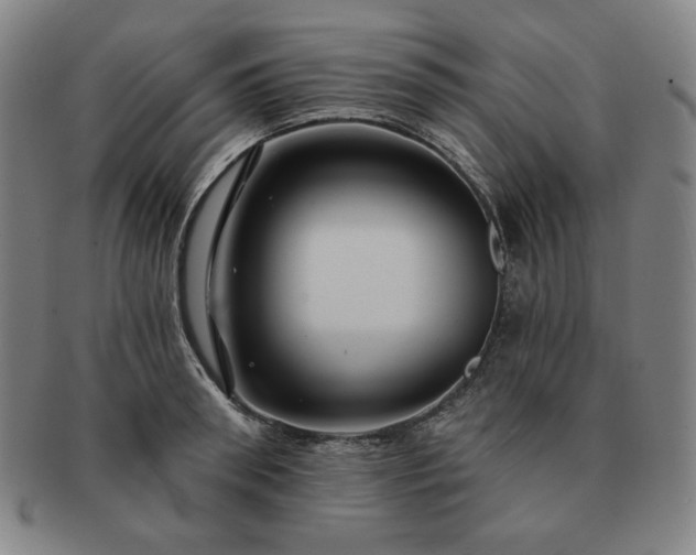 X0000091470898200708231335