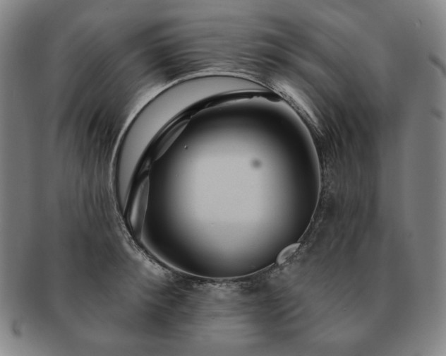 X0000091470900200708231335