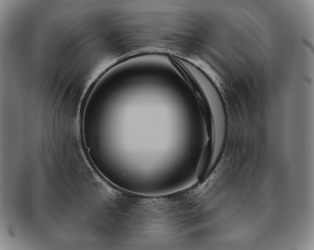 X0000091470902200708231335