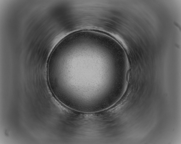 X0000091470903200708231335