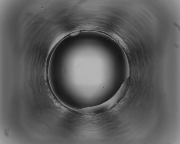 X0000091470904200708231335