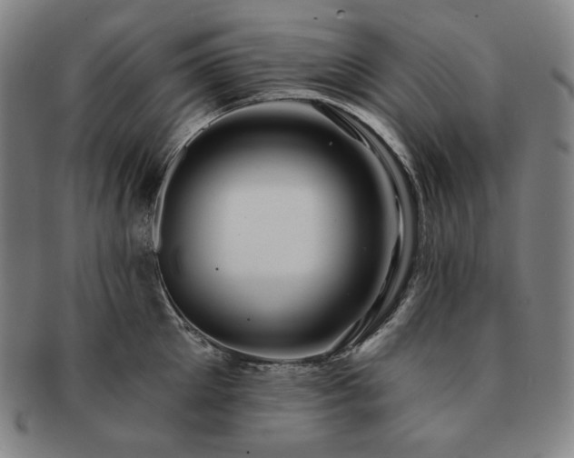 X0000091470905200708231335