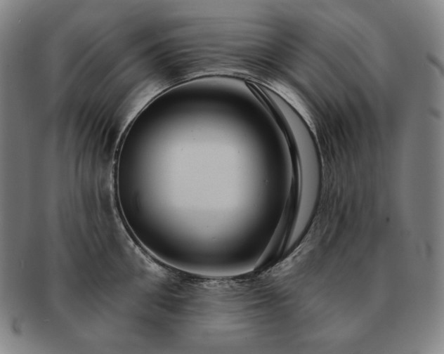 X0000091470906200708231335