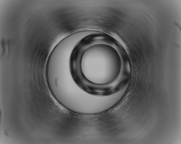 X0000091470909200708231335