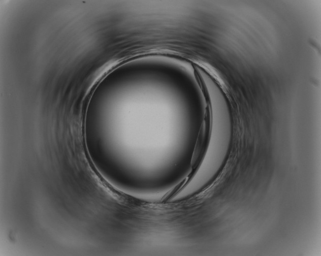 X0000091470910200708231335