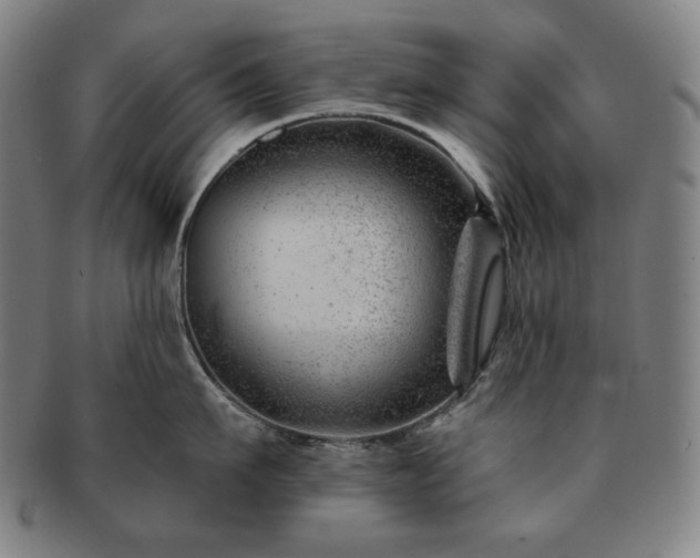 X0000091470911200708231335