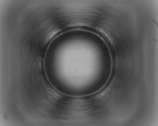 X0000091470921200708231335