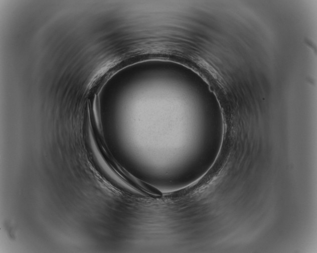 X0000091470922200708231335