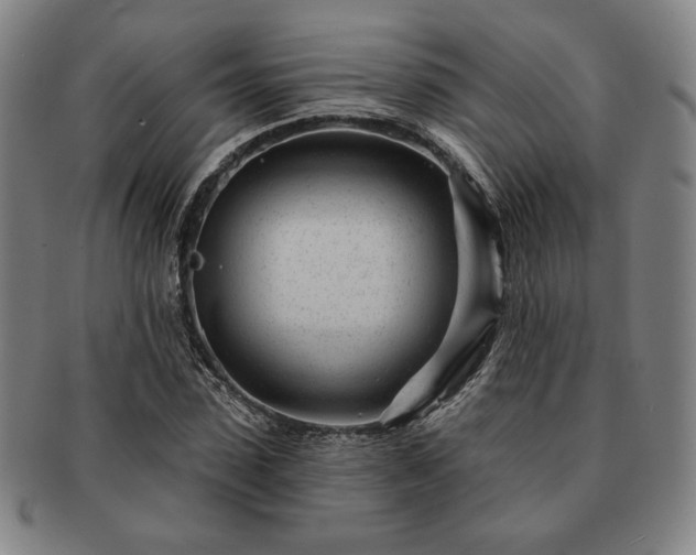 X0000091470923200708231335