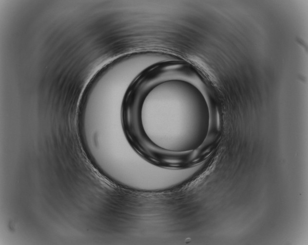 X0000091470924200708231335