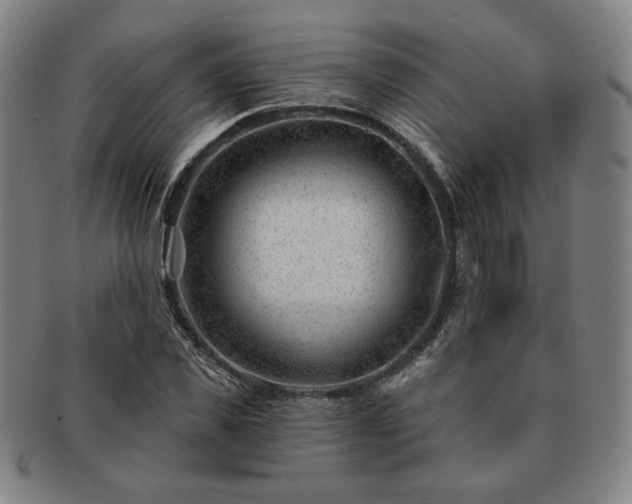 X0000091470925200708231335