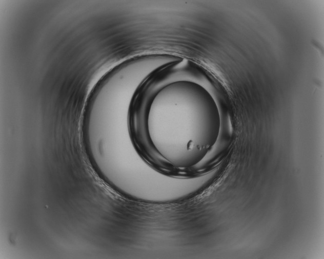 X0000091470928200708231335