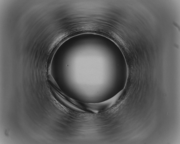 X0000091470930200708231335