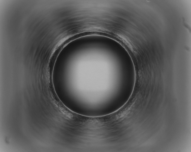 X0000091470931200708231335