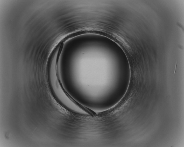 X0000091470934200708231335