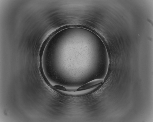 X0000091470935200708231335