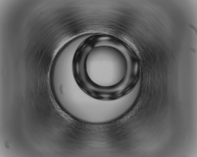 X0000091470936200708231335