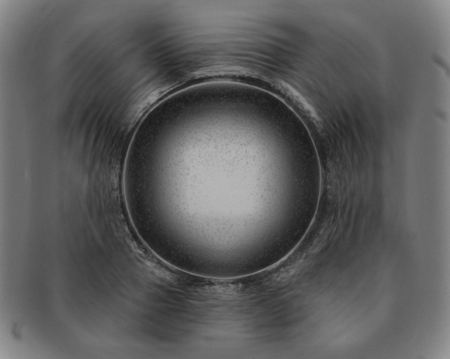 X0000091470937200708231335