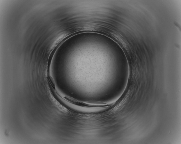 X0000091470938200708231335