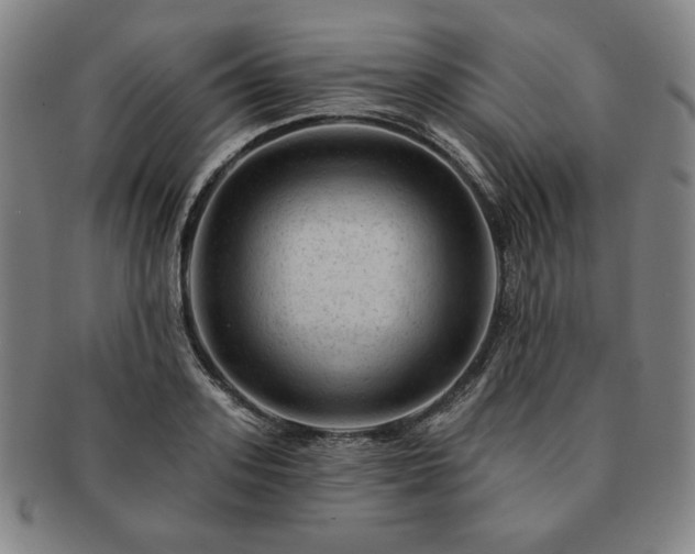 X0000091470939200708231335