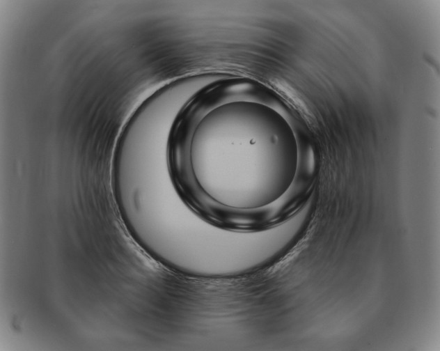 X0000091470940200708231335