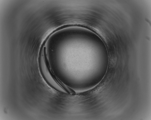 X0000091470943200708231335