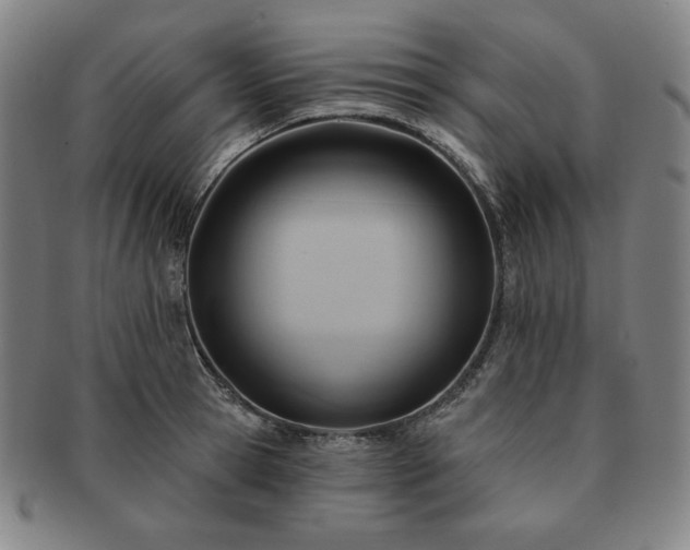 X0000091470945200708231335