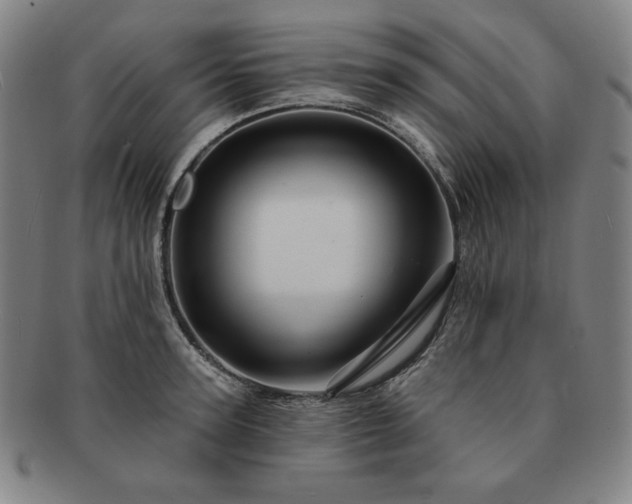 X0000091470947200708231335