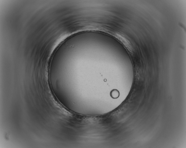 X0000091470950200708231335