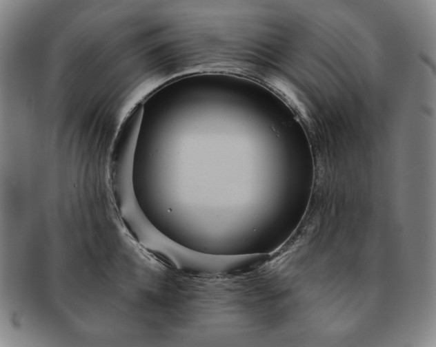 X0000091470952200708231335