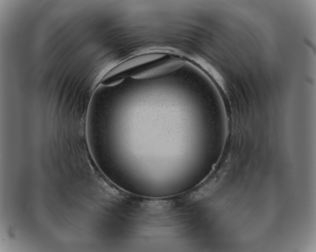 X0000091470953200708231335