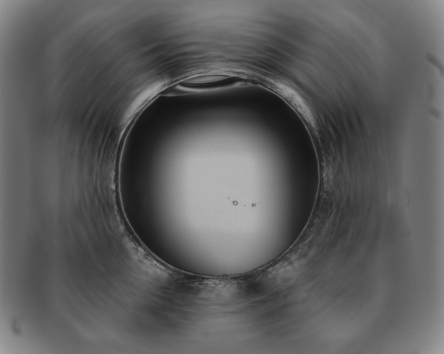 X0000091470954200708231335