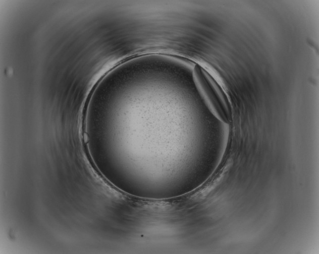 X0000091470957200708231335