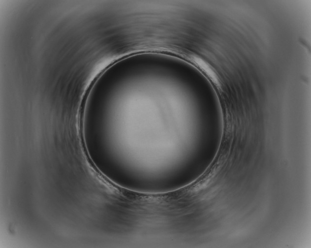 X0000091470958200708231335