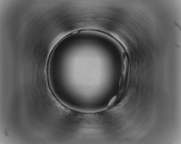 X0000091470959200708231335