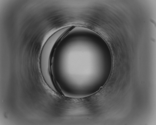 X0000091470960200708231335