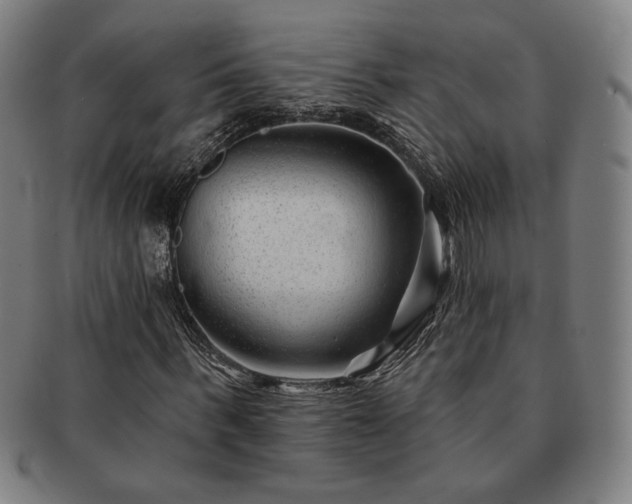 X0000091470963200708231335