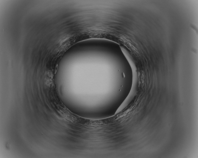 X0000091470964200708231335